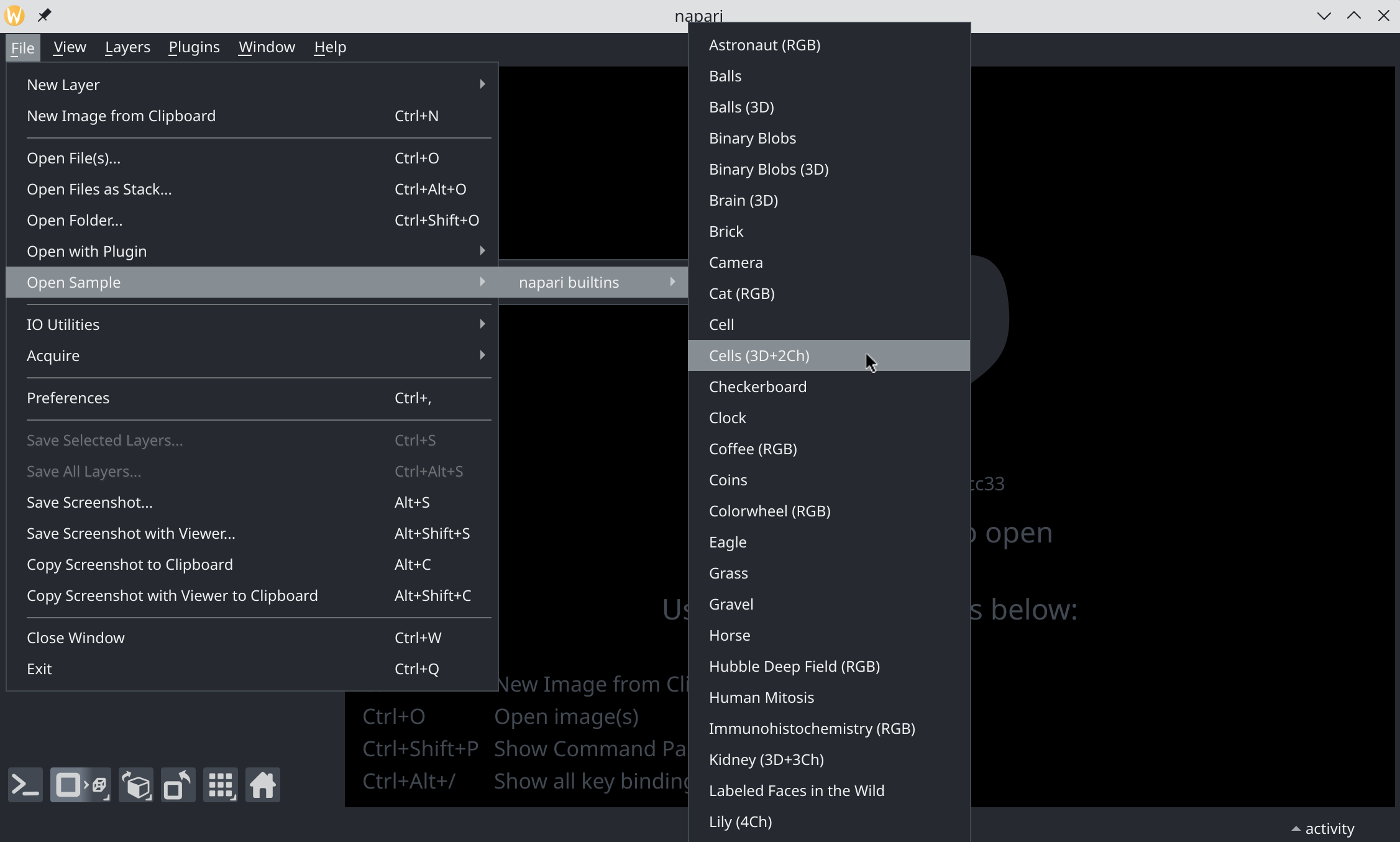 Open Cells 3D+2Ch sample image