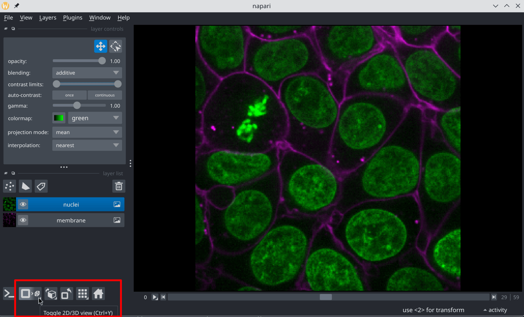Toggle 3D mode for Cells image