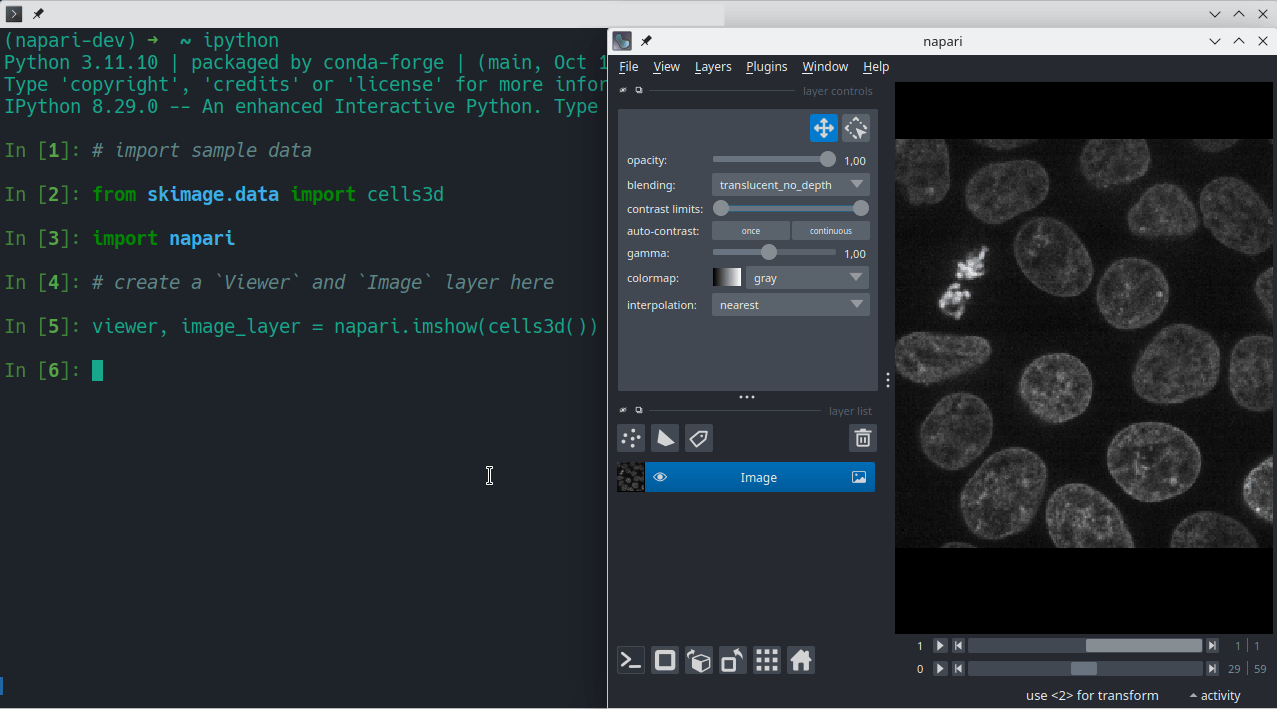 image: napari launched from ipython