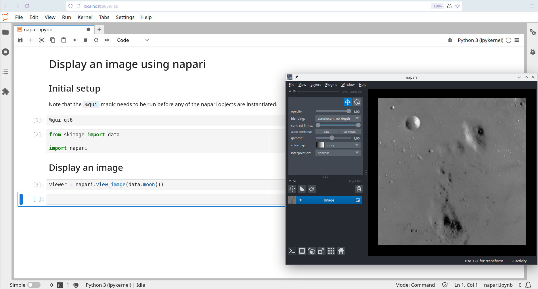 image: napari launched from a Jupyter notebook