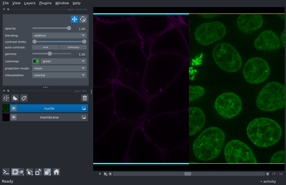 image border