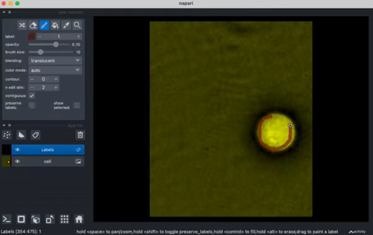 Manually labeling a region of interest in napari